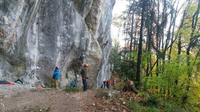 DTS Quintal 2016 DTS Quintal 2016