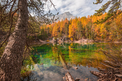 Thibault Blais - collection FFCAM Thibault Blais - collection FFCAM