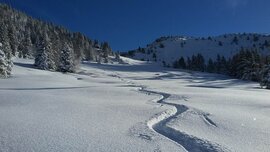 Archives actus sports décembre Archives actus sports décembre