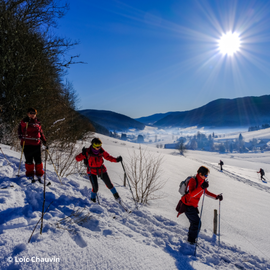 GP METABIEF GP METABIEF